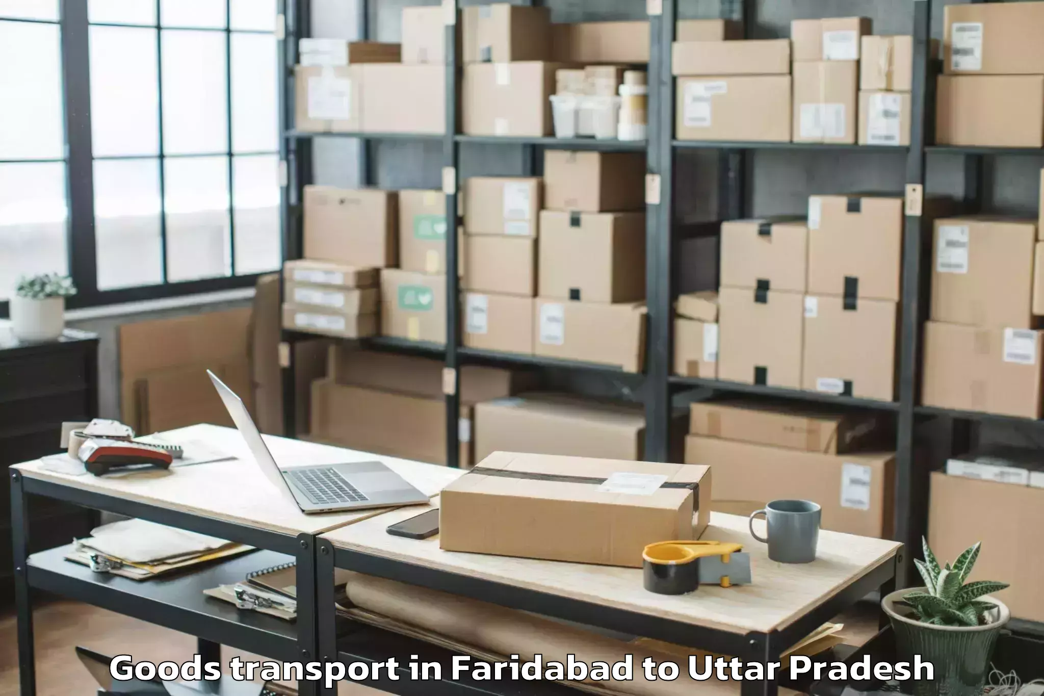 Quality Faridabad to Talbahat Goods Transport